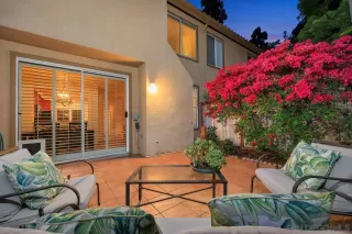 Photo #1: 250041002 Listing 