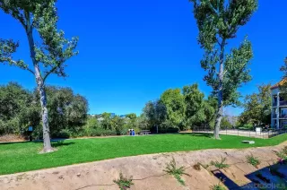 Photo #5: 250041088 Listing 