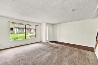 Photo #5: 250041190 Listing