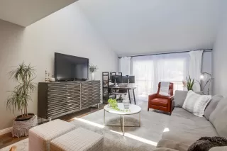 Photo #1: 250041203 Listing