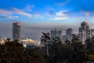 Photo #5: 250041206 Listing 