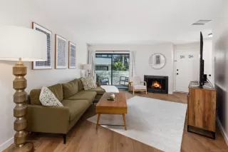 Photo #1: 250041267 Listing 