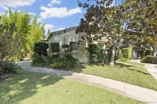 Photo #1: 250041318 Listing 