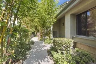 Photo #3: 250041318 Listing 