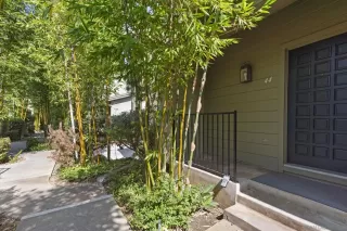 Photo #4: 250041318 Listing 