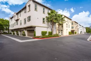 Photo #1: 250041394 Listing 