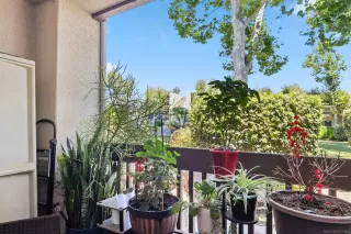 Photo #6: 250041419 Listing 