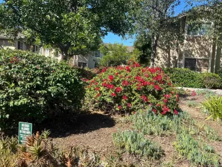 Photo #6: 250041478 Listing 