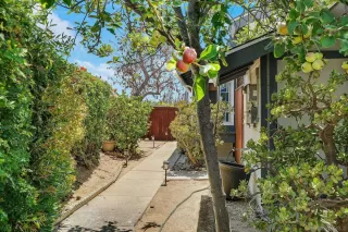 Photo #1: 250041511 Listing