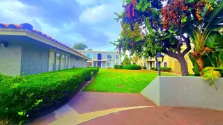 Photo #2: 250041593 Listing 