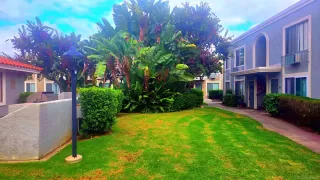 Photo #6: 250041593 Listing 