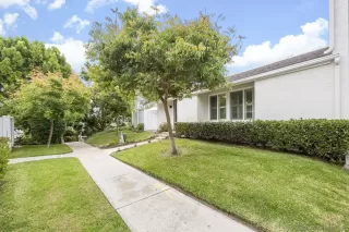 Photo #1: 250041690 Listing 