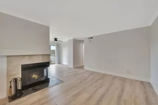 Photo #1: 250041693 Listing