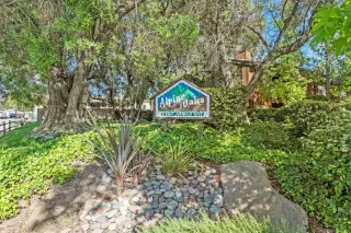 Photo #1: 250041702 Listing 