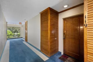 Photo #1: 250041749 Listing