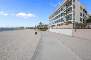 Photo #1: 250041803 Listing 