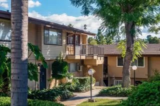 Photo #1: 250041912 Listing 