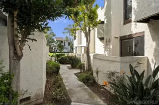 Photo #5: 250041926 Listing