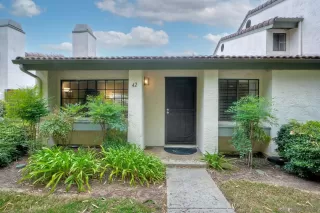 Photo #1: 250041947 Listing