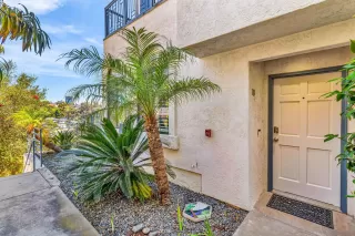 Photo #3: 250041991 Listing 