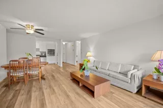 Photo #1: 250042055 Listing 