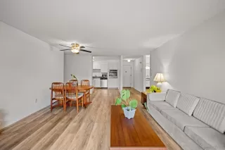 Photo #3: 250042055 Listing 