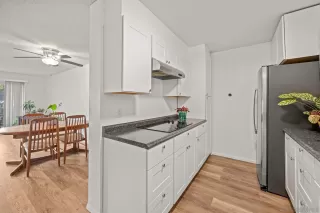 Photo #6: 250042055 Listing 