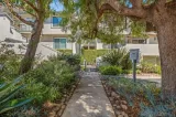 Primary Photo for MLS#: 250042065