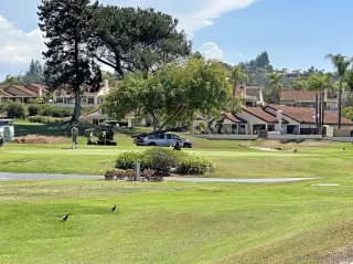 Photo #6: 250042072 Listing