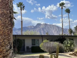 Photo #1: 250042092 Listing 