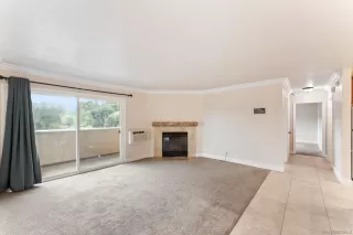 Photo #4: 250042104 Listing 