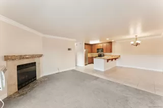 Photo #5: 250042104 Listing 