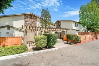Photo #1: 250042160 Listing 