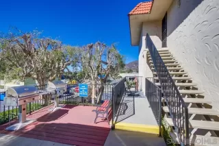 Photo #1: 250042175 Listing 
