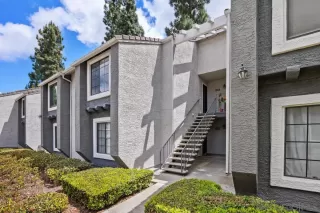 Photo #1: 250042240 Listing 