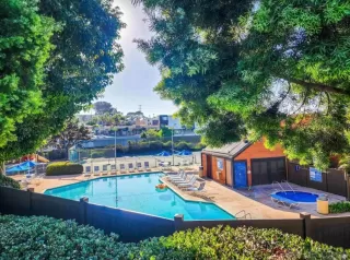 Photo #6: 250042260 Listing