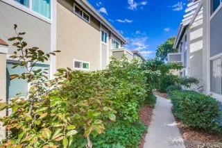 Photo #3: 250042348 Listing