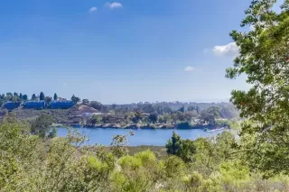 Photo #1: 250042352 Listing
