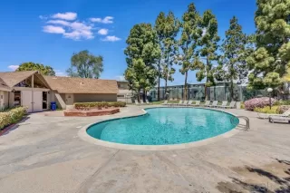 Photo #1: 250042509 Listing
