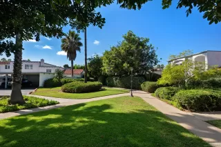 Photo #6: 250042554 Listing