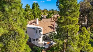 Photo #1: 250042565 Listing 