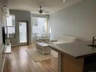 Photo #1: 250042623 Listing