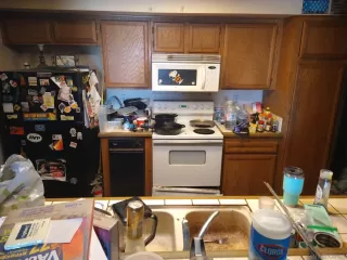 Photo #2: 250042654 Listing