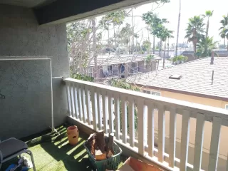 Photo #5: 250042654 Listing