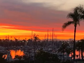 Photo #2: 250042700 Listing