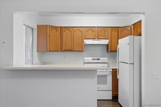 Photo #4: 250042798 Listing