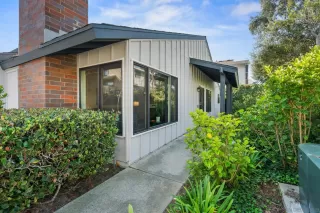 Photo #1: 250042826 Listing 