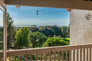 Photo #1: 250042934 Listing