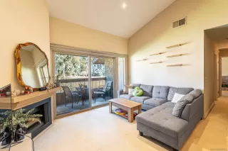 Photo #1: 250043031 Listing 