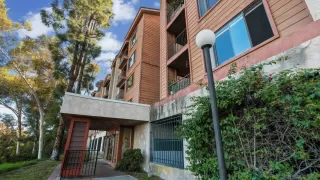 Photo #1: 250043062 Listing 